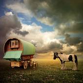 gypsy wagonand horse